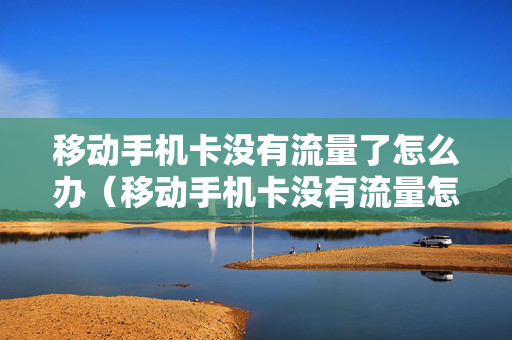 移动手机卡没有流量了怎么办（移动手机卡没有流量怎么办呢）