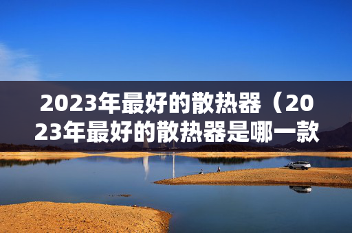 2023年最好的散热器（2023年最好的散热器是哪一款）