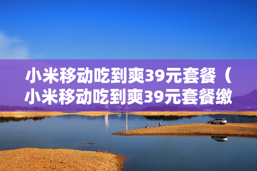 小米移动吃到爽39元套餐（小米移动吃到爽39元套餐缴活多少钱）