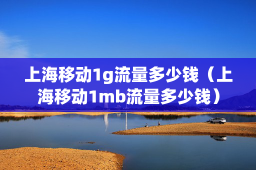 上海移动1g流量多少钱（上海移动1mb流量多少钱）