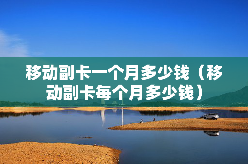 移动副卡一个月多少钱（移动副卡每个月多少钱）