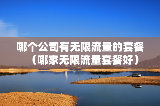 哪个公司有无限流量的套餐（哪家无限流量套餐好）
