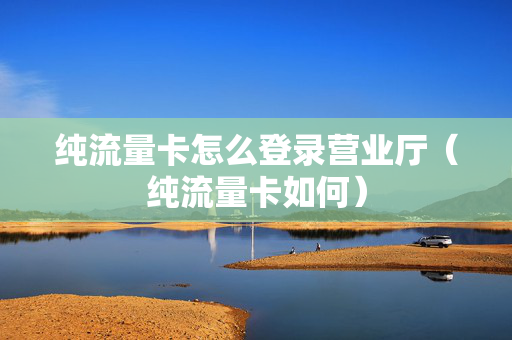纯流量卡怎么登录营业厅（纯流量卡如何）
