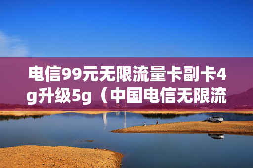 电信99元无限流量卡副卡4g升级5g（中国电信无限流量副卡）