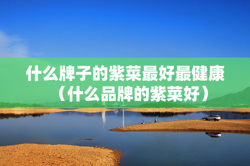 什么牌子的紫菜最好最健康（什么品牌的紫菜好）