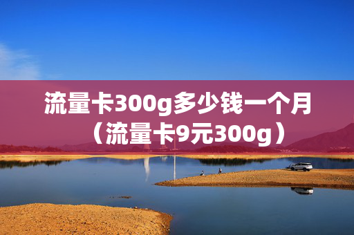 流量卡300g多少钱一个月（流量卡9元300g）