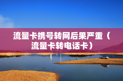 流量卡携号转网后果严重（流量卡转电话卡）