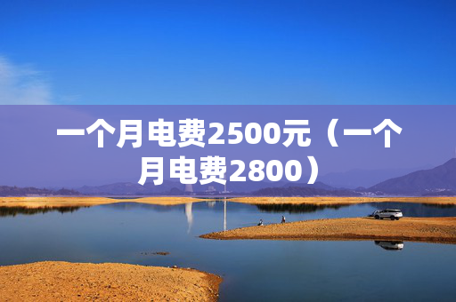 一个月电费2500元（一个月电费2800）
