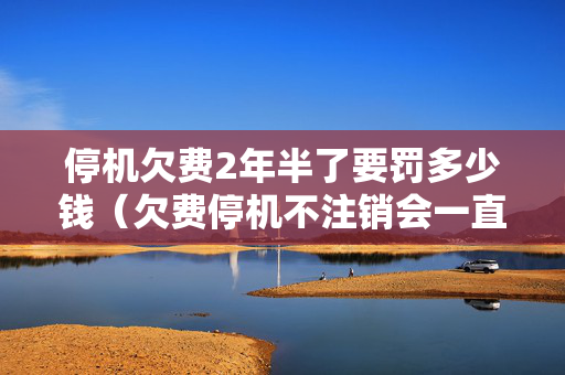 停机欠费2年半了要罚多少钱（欠费停机不注销会一直扣费么）