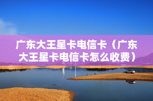 广东大王星卡电信卡（广东大王星卡电信卡怎么收费）
