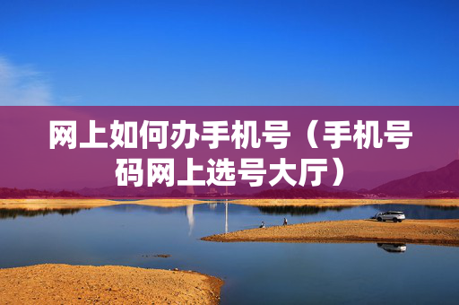 网上如何办手机号（手机号码网上选号大厅）
