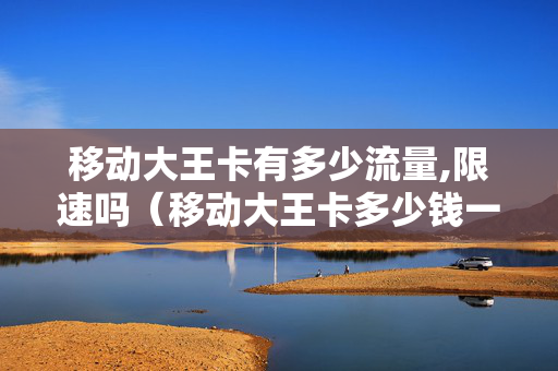 移动大王卡有多少流量,限速吗（移动大王卡多少钱一G）