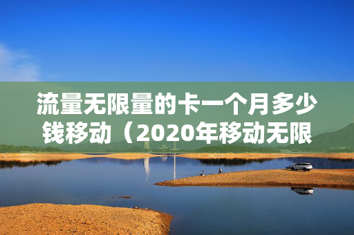 流量无限量的卡一个月多少钱移动（2020年移动无限流量卡多少钱一个月）