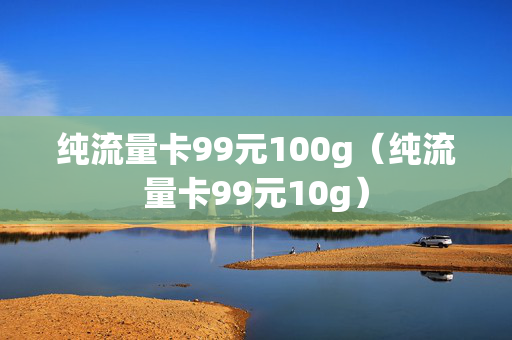 纯流量卡99元100g（纯流量卡99元10g）
