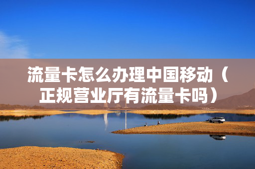 流量卡怎么办理中国移动（正规营业厅有流量卡吗）