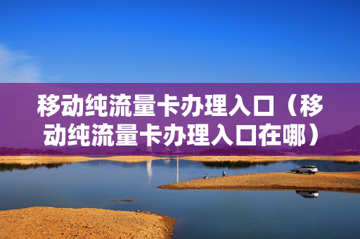 移动纯流量卡办理入口（移动纯流量卡办理入口在哪）