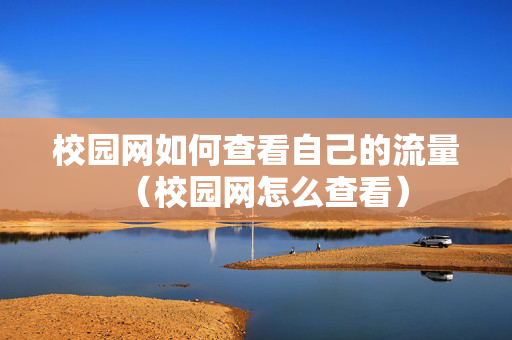 校园网如何查看自己的流量（校园网怎么查看）