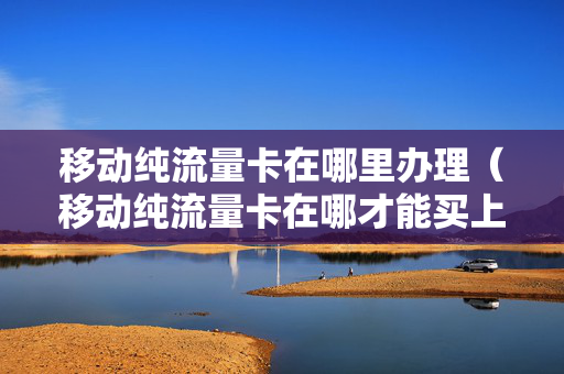 移动纯流量卡在哪里办理（移动纯流量卡在哪才能买上正规的）