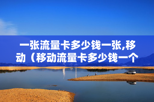 一张流量卡多少钱一张,移动（移动流量卡多少钱一个）