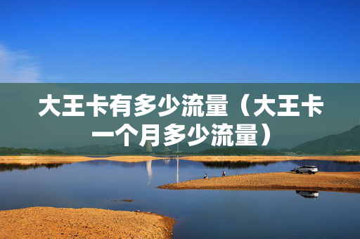 大王卡有多少流量（大王卡一个月多少流量）