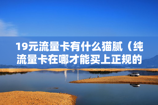 19元流量卡有什么猫腻（纯流量卡在哪才能买上正规的）