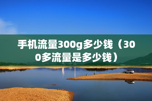 手机流量300g多少钱（300多流量是多少钱）