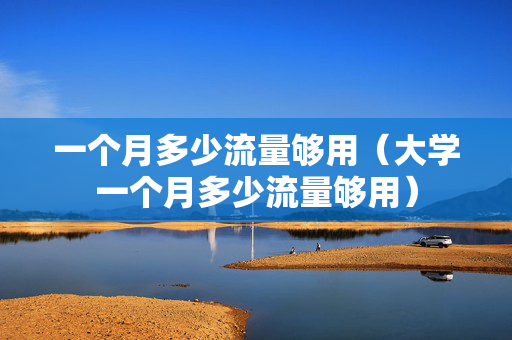 一个月多少流量够用（大学一个月多少流量够用）