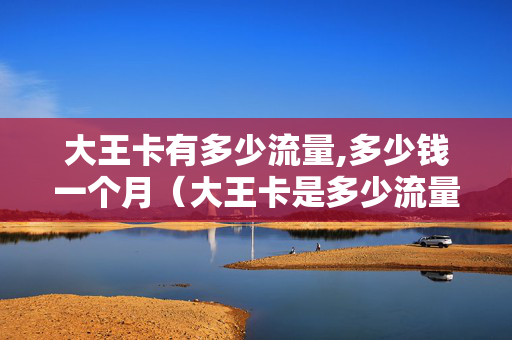 大王卡有多少流量,多少钱一个月（大王卡是多少流量）