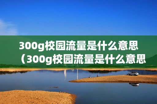 300g校园流量是什么意思（300g校园流量是什么意思啊）