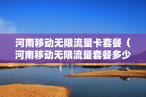 河南移动无限流量卡套餐（河南移动无限流量套餐多少钱）