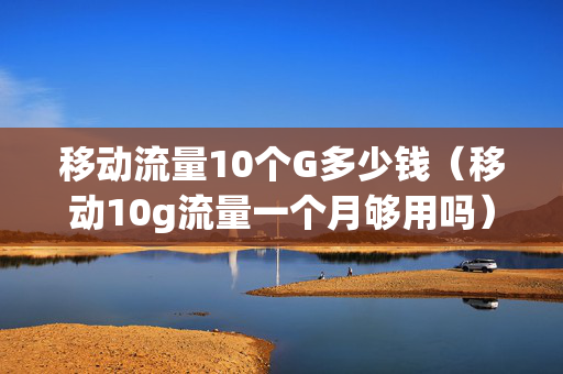 移动流量10个G多少钱（移动10g流量一个月够用吗）