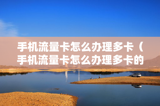 手机流量卡怎么办理多卡（手机流量卡怎么办理多卡的）