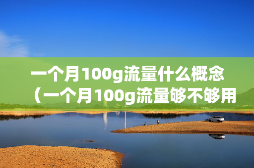 一个月100g流量什么概念（一个月100g流量够不够用）