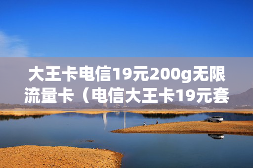 大王卡电信19元200g无限流量卡（电信大王卡19元套餐200）