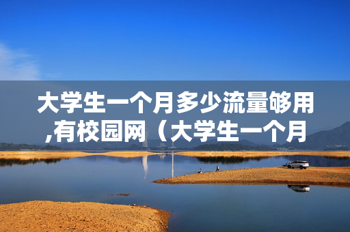 大学生一个月多少流量够用,有校园网（大学生一个月得用多少流量）