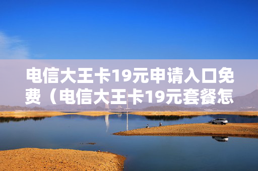 电信大王卡19元申请入口免费（电信大王卡19元套餐怎么办理）