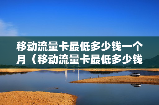 移动流量卡最低多少钱一个月（移动流量卡最低多少钱一个月的）