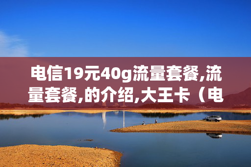 电信19元40g流量套餐,流量套餐,的介绍,大王卡（电信19元40g流量卡怎么样）