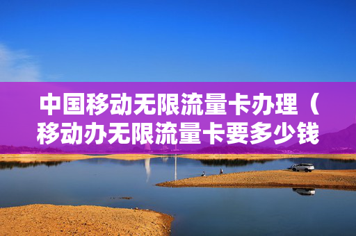 中国移动无限流量卡办理（移动办无限流量卡要多少钱一个月）