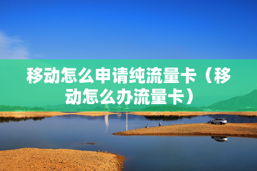 移动怎么申请纯流量卡（移动怎么办流量卡）