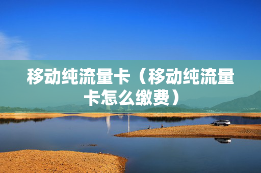 移动纯流量卡（移动纯流量卡怎么缴费）