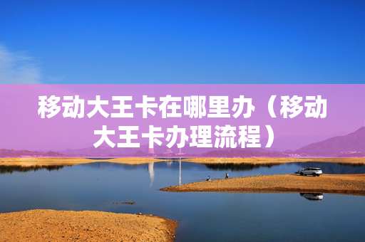 移动大王卡在哪里办（移动大王卡办理流程）