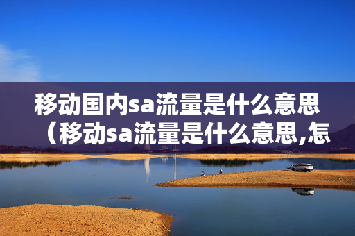 移动国内sa流量是什么意思（移动sa流量是什么意思,怎么使用）
