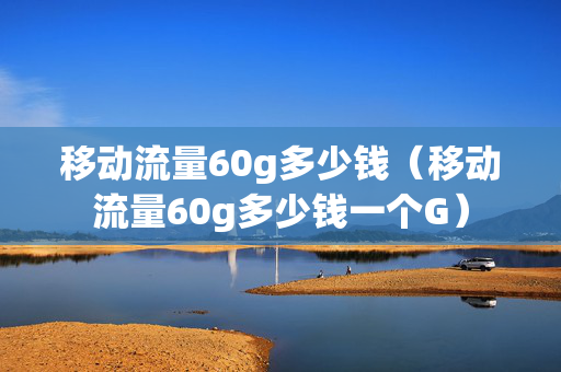 移动流量60g多少钱（移动流量60g多少钱一个G）