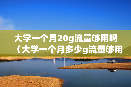 大学一个月20g流量够用吗（大学一个月多少g流量够用）