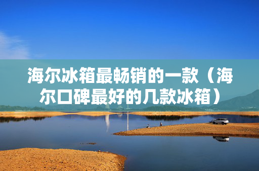 海尔冰箱最畅销的一款（海尔口碑最好的几款冰箱）