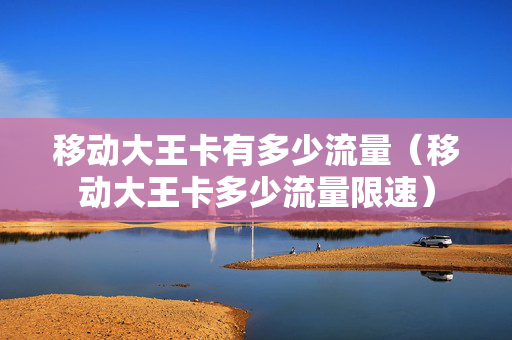 移动大王卡有多少流量（移动大王卡多少流量限速）