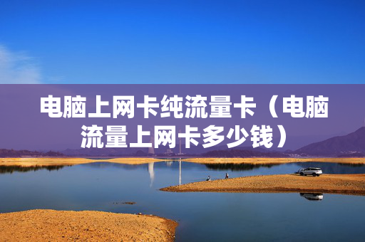 电脑上网卡纯流量卡（电脑流量上网卡多少钱）