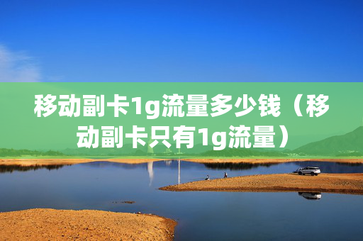 移动副卡1g流量多少钱（移动副卡只有1g流量）