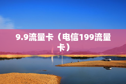 9.9流量卡（电信199流量卡）